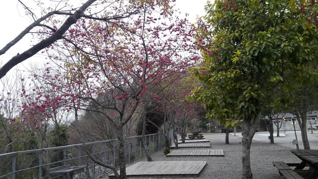 Qing Jing Xiao Taiyang Jingguan Homestay Nhân Ái Ngoại thất bức ảnh