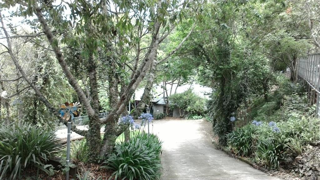 Qing Jing Xiao Taiyang Jingguan Homestay Nhân Ái Ngoại thất bức ảnh